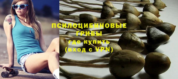 mdpv Алзамай