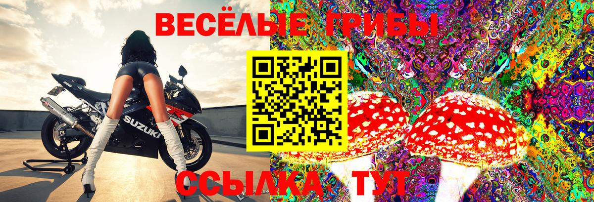 Лиски  Псилоцибиновые грибы Psilocybine cubensis  закладка  Вход с VPN 