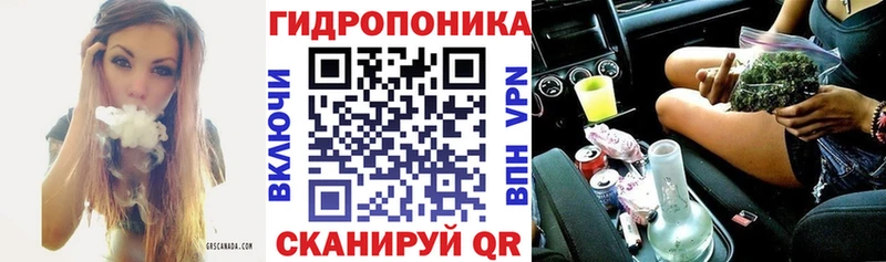 Шишки марихуана планчик  Лиски 